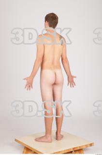 Body texture of Aurel 0004